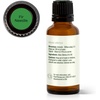 image:imagePlant Therapy Fir Needle Essential Oil 10 mL 13 oz 100 Pure Undiluted Fresh Scent Respiratory Support DIY Cleaners1 Fl Oz Pack of 1