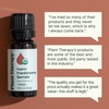 image:imagePlant Therapy Frankincense Serrata Certified Organic Essential Oil 10 mL033 Fl Oz Pack of 1