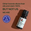 image:imagePlant Therapy Frankincense Serrata Certified Organic Essential Oil 10 mL033 Fl Oz Pack of 1
