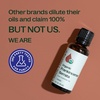 image:imagePlant Therapy Frankincense Serrata Certified Organic Essential Oil 10 mL1 Fl Oz Pack of 1