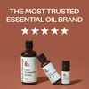 image:imagePlant Therapy Frankincense Serrata Certified Organic Essential Oil 10 mL33 Fl Oz Pack of 1