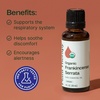 image:imagePlant Therapy Frankincense Serrata Certified Organic Essential Oil 10 mL33 Fl Oz Pack of 1