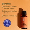 image:imagePlant Therapy Germ Fighter Essential Oil Blend Natural Aromatherapy 30 mL1 Fl Oz Pack of 1