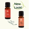 image:imagePlant Therapy Germ Fighter Essential Oil Blend Natural Aromatherapy 30 mL1 Fl Oz Pack of 1