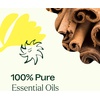 image:imagePlant Therapy Germ Fighter Essential Oil Blend Natural Aromatherapy 30 mL1 Fl Oz Pack of 2