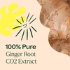 image:imagePlant Therapy Ginger Root CO2 Essential Oil 10 mL Ginger Oil Aromatherapy033 Fl Oz Pack of 1