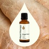 image:imagePlant Therapy Ginger Root CO2 Essential Oil 10 mL Ginger Oil Aromatherapy1 Fl Oz Pack of 1