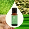 image:imagePlant Therapy Gut Aid Essential Oil Blend 30 mL 1 oz 100 Pure Undiluted Natural Aromatherapy Digestive Support for Motion Sickness Gas Bloating and Indigestion033 Fl Oz Pack of 1