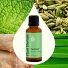 image:imagePlant Therapy Gut Aid Essential Oil Blend 30 mL 1 oz 100 Pure Undiluted Natural Aromatherapy Digestive Support for Motion Sickness Gas Bloating and Indigestion1 Fl Oz Pack of 1