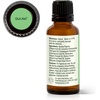 image:imagePlant Therapy Gut Aid Essential Oil Blend 30 mL 1 oz 100 Pure Undiluted Natural Aromatherapy Digestive Support for Motion Sickness Gas Bloating and Indigestion1 Fl Oz Pack of 1