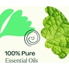 image:imagePlant Therapy Gut Aid Essential Oil Blend 30 mL 1 oz 100 Pure Undiluted Natural Aromatherapy Digestive Support for Motion Sickness Gas Bloating and Indigestion033 Fl Oz Pack of 1