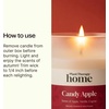 image:imagePlant Therapy Home Candy Apple Fall Naturally Scented Candle 9 ozCandy Apple