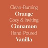image:imagePlant Therapy Home Candy Apple Fall Naturally Scented Candle 9 ozOrange Spice