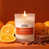 image:imagePlant Therapy Home Candy Apple Fall Naturally Scented Candle 9 ozOrange Spice