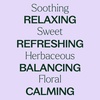 image:imagePlant Therapy Lavandin Essential Oil 10 mL 13 oz 100 Pure and Undiluted Aromatherapy for Balance amp Calm033 Fl Oz Pack of 1