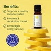 image:imagePlant Therapy Lemon Essential Oil for Diffusing 10 mL Pure and Undiluted033 Fl Oz Pack of 1