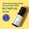 image:imagePlant Therapy Lemon Essential Oil for Diffusing 10 mL Pure and Undiluted033 Fl Oz Pack of 1