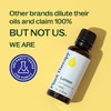 image:imagePlant Therapy Lemon Essential Oil for Diffusing 10 mL Pure and Undiluted1 Fl Oz Pack of 1