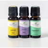 image:imagePlant Therapy Lemon Lavender amp Peppermint Essential Oil Set 10 mL 13 ozLemon Lavender