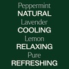 image:imagePlant Therapy Lemon Lavender amp Peppermint Essential Oil Set 10 mL 13 ozLemon Lavender