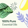image:imagePlant Therapy Lemon Lavender amp Peppermint Essential Oil Set 10 mL 13 ozLemon Lavender