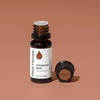 image:imagePlant Therapy Lemongrass Essential Oil 30 mL Pure Undiluted Essential OilCinnamon