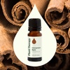 image:imagePlant Therapy Lemongrass Essential Oil 30 mL Pure Undiluted Essential OilCinnamon