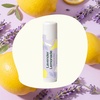 image:imagePlant Therapy Maple Glaze Natural Lip Balm 05 oz Sweet Maple Glaze FlavorLavender Lemonade
