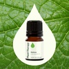 image:imagePlant Therapy Melissa Essential Oil 25 mL 112 oz 100 Pure Undiluted Essential Oil Encourages Healthy RadiantLooking SkinMelissa