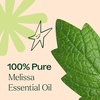 image:imagePlant Therapy Melissa Essential Oil 25 mL 112 oz 100 Pure Undiluted Essential Oil Encourages Healthy RadiantLooking SkinMelissa