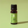 image:imagePlant Therapy Nature Shield Essential Oil Blend 10 mL 13 oz033 Fl Oz Pack of 1