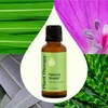 image:imagePlant Therapy Nature Shield Essential Oil Blend 10 mL 13 oz1 Fl Oz Pack of 1