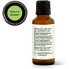 image:imagePlant Therapy Nature Shield Essential Oil Blend 10 mL 13 oz1 Fl Oz Pack of 1