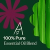 image:imagePlant Therapy Nature Shield Essential Oil Blend 10 mL 13 oz1 Fl Oz Pack of 1