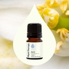 image:imagePlant Therapy Neroli Essential Oil 5 mL 16 oz 100 Pure Undiluted for Aromatherapy Skin Care and Emotional BalanceNeroli