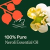 image:imagePlant Therapy Neroli Essential Oil 5 mL 16 oz 100 Pure Undiluted for Aromatherapy Skin Care and Emotional BalanceNeroli