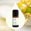 image:imagePlant Therapy Neroli Essential Oil 5 mL 16 oz 100 Pure Undiluted for Aromatherapy Skin Care and Emotional BalanceNeroli