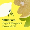 image:imagePlant Therapy Organic Bergamot Essential Oil 30 mL 1 oz 100 Pure Undiluted USDA Certified Organic BergaptenFree Citrus Oil for Aromatherapy Mood Support amp Skin CareBergamot