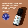 image:imagePlant Therapy Organic Clove Bud Essential Oil 10 mL USDA Certified Organic034 Fl Oz Pack of 1