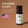 image:imagePlant Therapy Organic Clove Bud Essential Oil 10 mL USDA Certified Organic034 Fl Oz Pack of 1