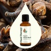 image:imagePlant Therapy Organic Clove Bud Essential Oil 10 mL USDA Certified Organic1 Fl Oz Pack of 1