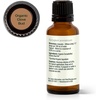 image:imagePlant Therapy Organic Clove Bud Essential Oil 10 mL USDA Certified Organic1 Fl Oz Pack of 1