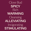 image:imagePlant Therapy Organic Clove Bud Essential Oil 10 mL USDA Certified Organic1 Fl Oz Pack of 1