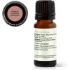 image:imagePlant Therapy Organic Copaiba Essential Oil Oleoresin 10 mL 13 oz 100 Pure USDA Certified Organic Undiluted Aromatherapy for Diffuser amp Skincare033 Fl Oz Pack of 1