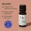 image:imagePlant Therapy Organic Copaiba Essential Oil Oleoresin 10 mL 13 oz 100 Pure USDA Certified Organic Undiluted Aromatherapy for Diffuser amp Skincare033 Fl Oz Pack of 1