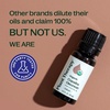 image:imagePlant Therapy Organic Copaiba Essential Oil Oleoresin 10 mL 13 oz 100 Pure USDA Certified Organic Undiluted Aromatherapy for Diffuser amp Skincare033 Fl Oz Pack of 1