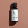 image:imagePlant Therapy Organic Copaiba Essential Oil Oleoresin 10 mL 13 oz 100 Pure USDA Certified Organic Undiluted Aromatherapy for Diffuser amp Skincare1 Fl Oz Pack of 1
