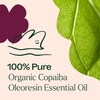 image:imagePlant Therapy Organic Copaiba Essential Oil Oleoresin 10 mL 13 oz 100 Pure USDA Certified Organic Undiluted Aromatherapy for Diffuser amp Skincare1 Fl Oz Pack of 1