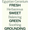 image:imagePlant Therapy Organic Egyptian Geranium Essential Oil 10 mL 13 ozGeranium