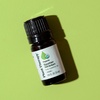 image:imagePlant Therapy Organic Egyptian Geranium Essential Oil 10 mL 13 ozGeranium